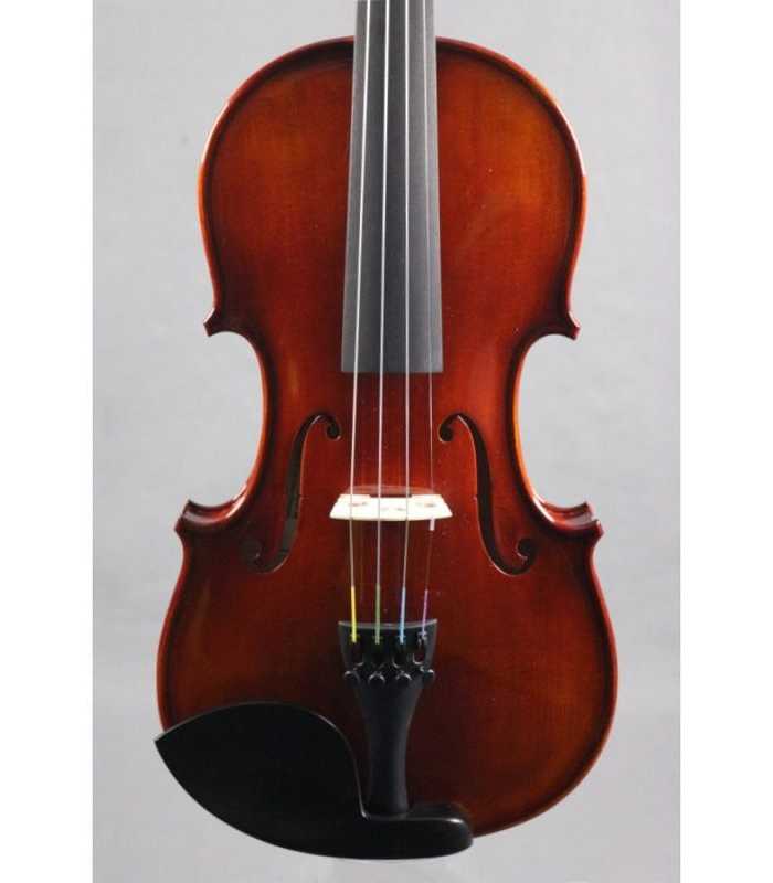 AK LORENZ 4/4 Violín Modelo Harald Lorenz Calidad Superior (AK-6A)