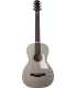 Guitarra eléctrica Godin Rialto JR Satina Gray HG Q-Discrete