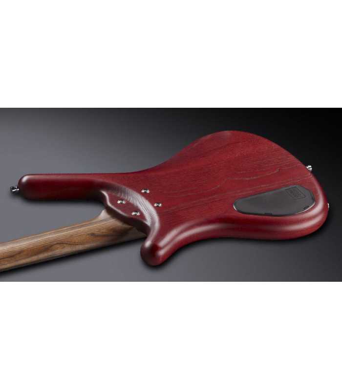 Basse électrique Warwick Corvette Standard Ash - 5 cordes - active  / active   - Colored Transparent Satin