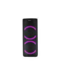 Sono portable USB + BT Power Acoustics GOFUN 100