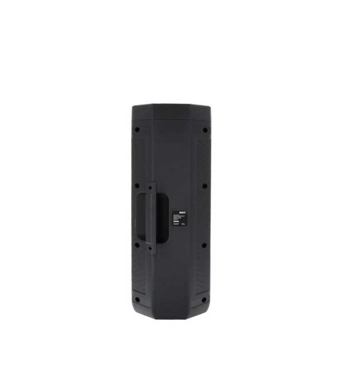 Sono portable USB + BT Power Acoustics GOFUN 100