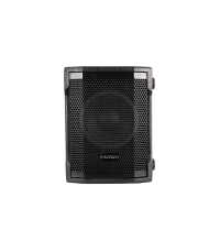 Subwoofer actif bois HP10 Definitive Audio INSTASUB 10A