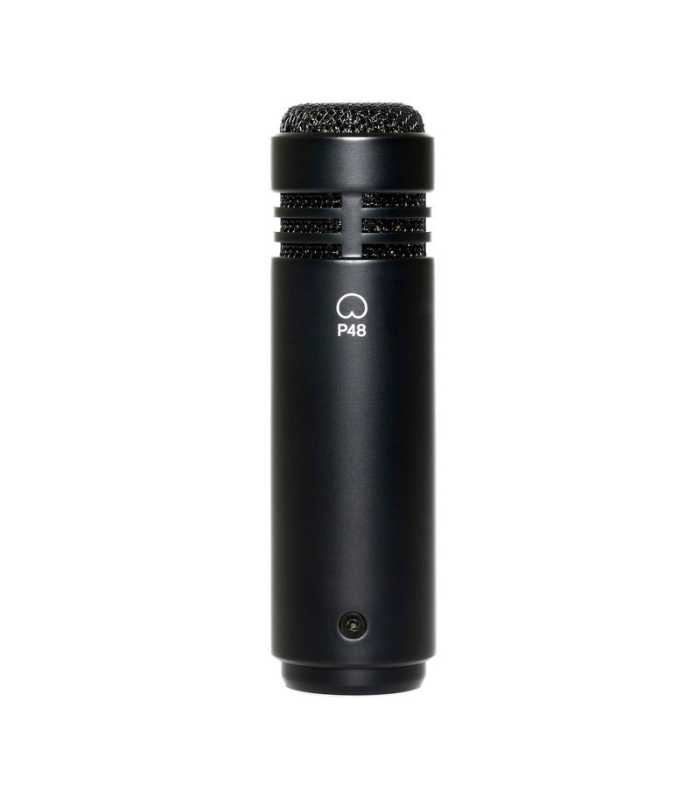 Pack micros statiques Lewitt LCT 040 MATCH stereo pair