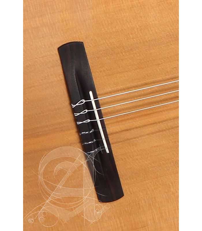 Guitarra electroclásica Alhambra CS-LR CW E1