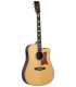 Guitare électro acoustique Tanglewood TW1000 H SRCE