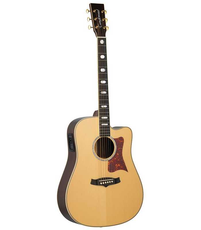 Guitare électro acoustique Tanglewood TW1000 H SRCE