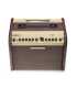 Ampli Bluetooth pour instrument acoustique Fishman Loudbox Mini