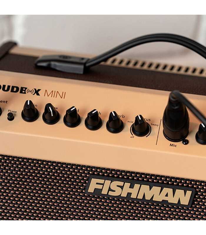 Ampli Bluetooth pour instrument acoustique Fishman Loudbox Mini