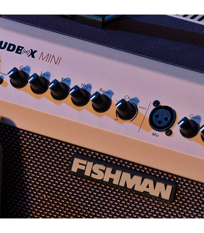 Ampli Bluetooth pour instrument acoustique Fishman Loudbox Mini