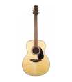 Guitare électro acoustique Nex Takamine GLN12E NS