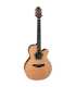 Guitarra electroacústica Nex edición limitada Takamine LTD2023 Santa Fe