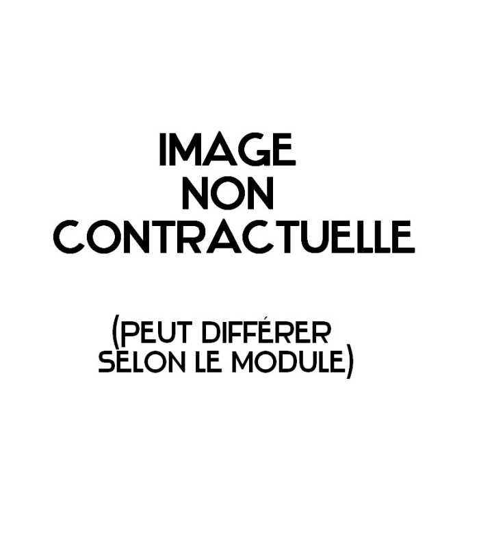 Enceinte autonome avec Micro UHF Bluetooth et housse de transport Senrun EP-900