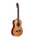 Guitare Classique Altamira Classique N100 7/8 RN