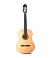 Guitarra Flamenca con Estuche Altamira Flamenca N700F 4/4 RN