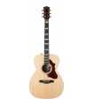 Guitarra electroacústica con funda Godin Fairmount CH Ltd Rosewood CN HG