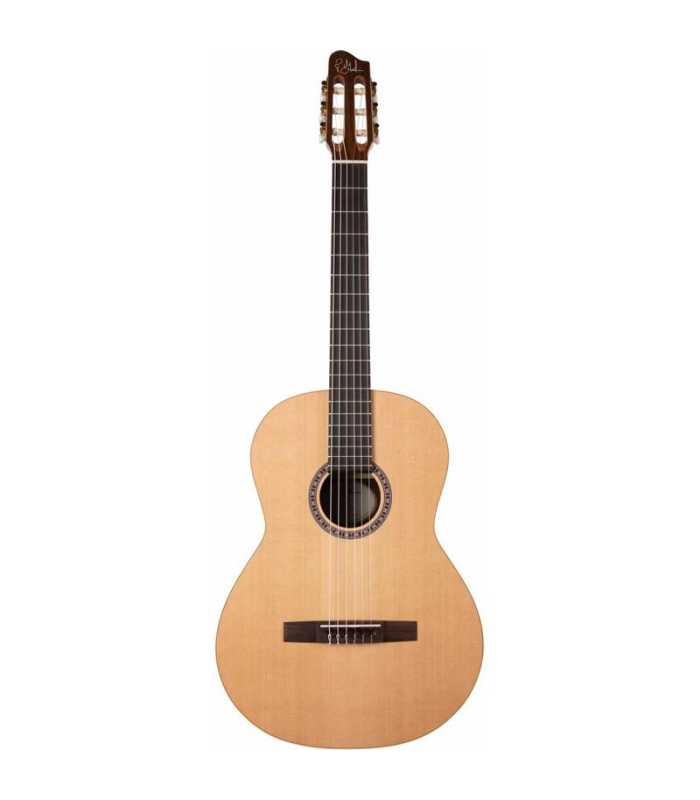 Guitare classique Godin Presentation RN