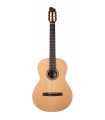 Guitare classique Godin Presentation RN