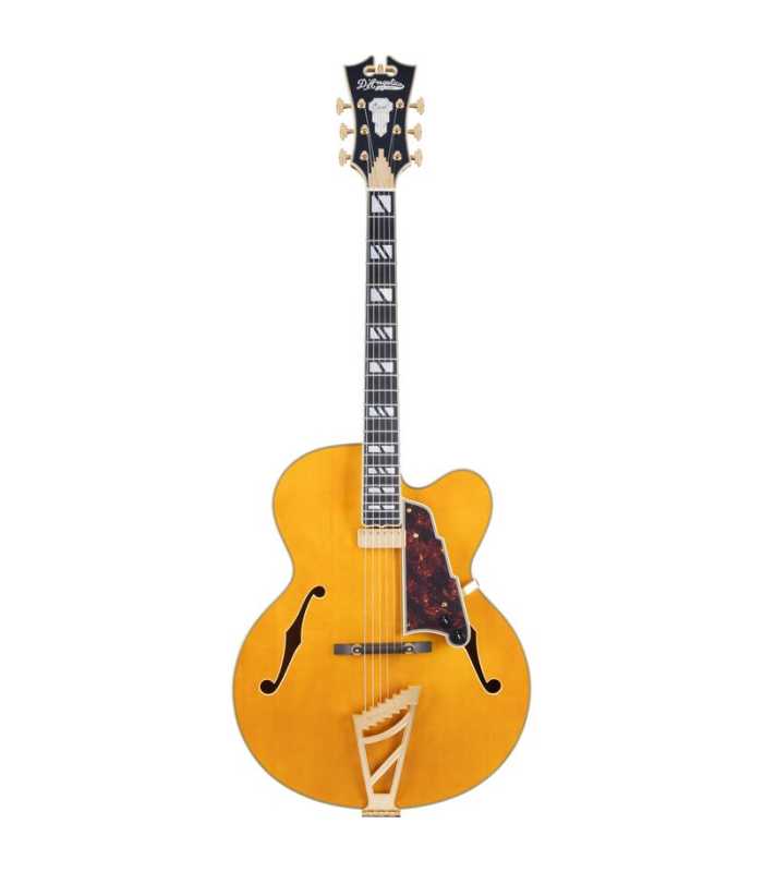 Guitarra eléctrica Hollow Body D'Angelico Excel EXL-1 Amber