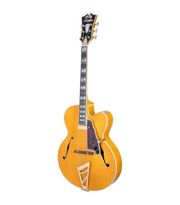 Guitarra eléctrica Hollow Body D'Angelico Excel EXL-1 Amber