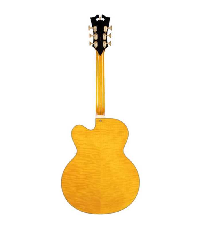 Guitare électrique Hollow Body D'Angelico Excel EXL-1 Amber