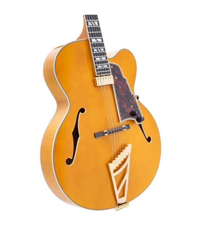 Guitarra eléctrica Hollow Body D'Angelico Excel EXL-1 Amber