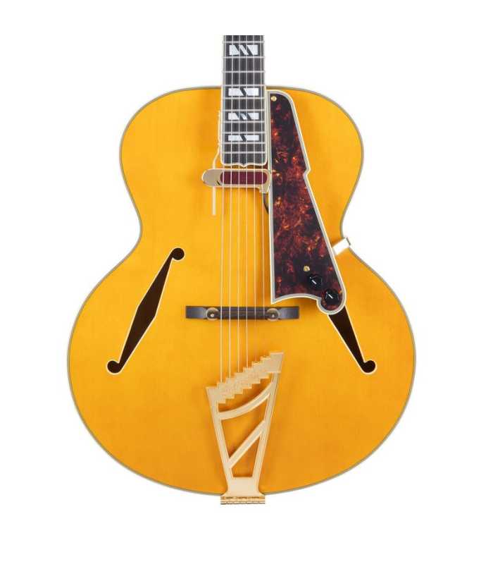 Guitarra eléctrica Hollow Body D'Angelico Excel Style B Amber