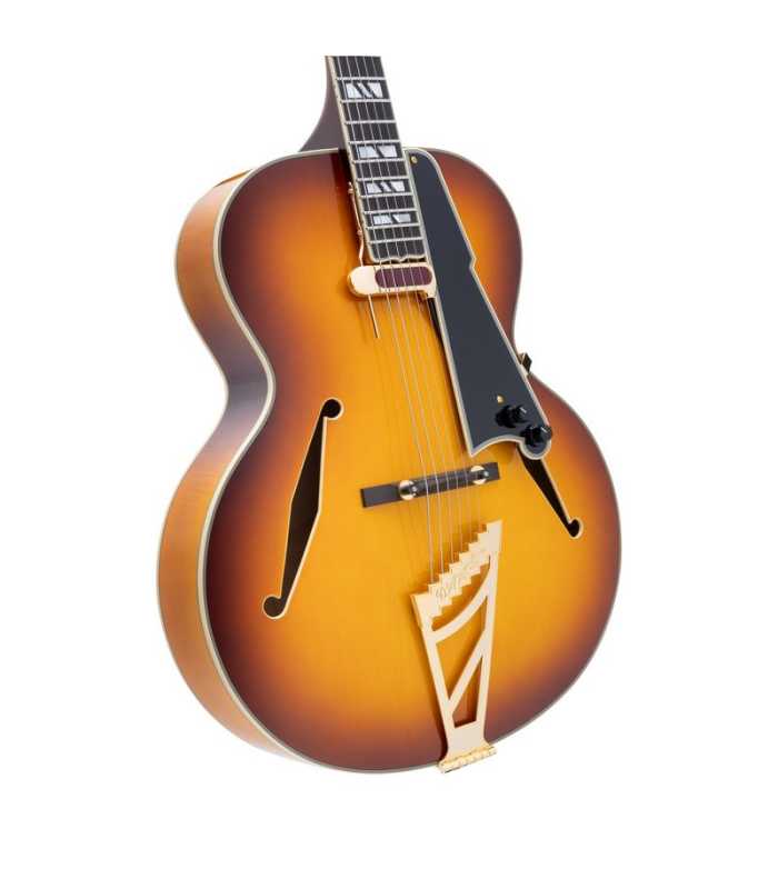 Guitarra eléctrica Hollow Body D'Angelico Excel Style B Dark Iced Tea Burst