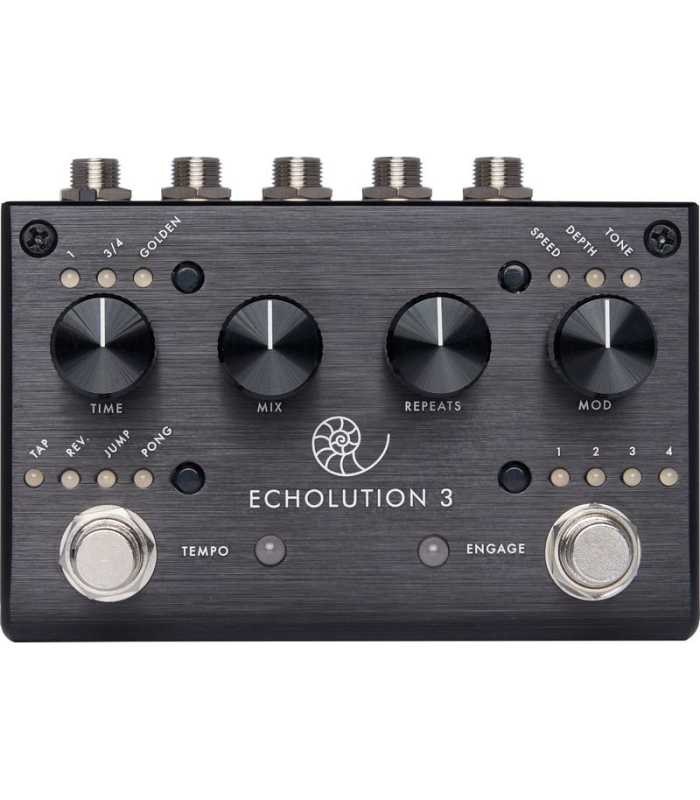 Pédale de Délai Pigtronix Echolution 3