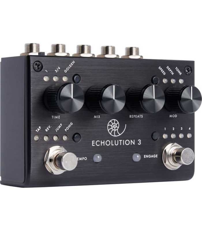 Pedal de Delay Pigtronix Echolution 3