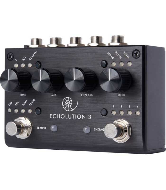 Pedal de Delay Pigtronix Echolution 3