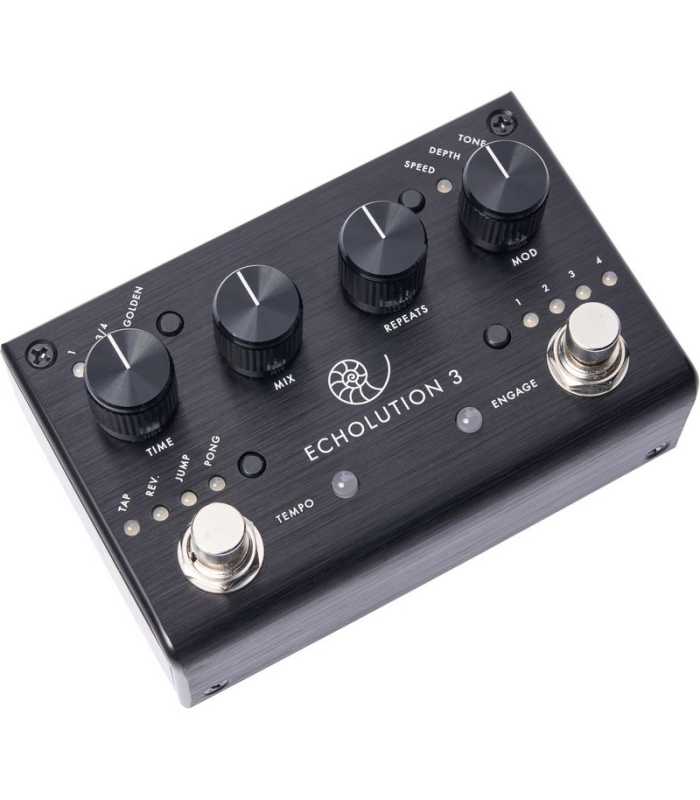 Pedal de Delay Pigtronix Echolution 3