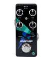 Pédale de synthétiseur analogique Pigtronix Space RIP