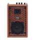 Amplificador acústico Acus One Forstrings  FERDI 4 Wood