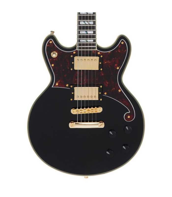 Guitarra eléctrica D'Angelico Deluxe Brighton Solid Black