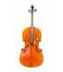 Violoncelle de Concert PASSION TRADITION 4/4 Modèle Montagnana (CE01MONTA-A+)