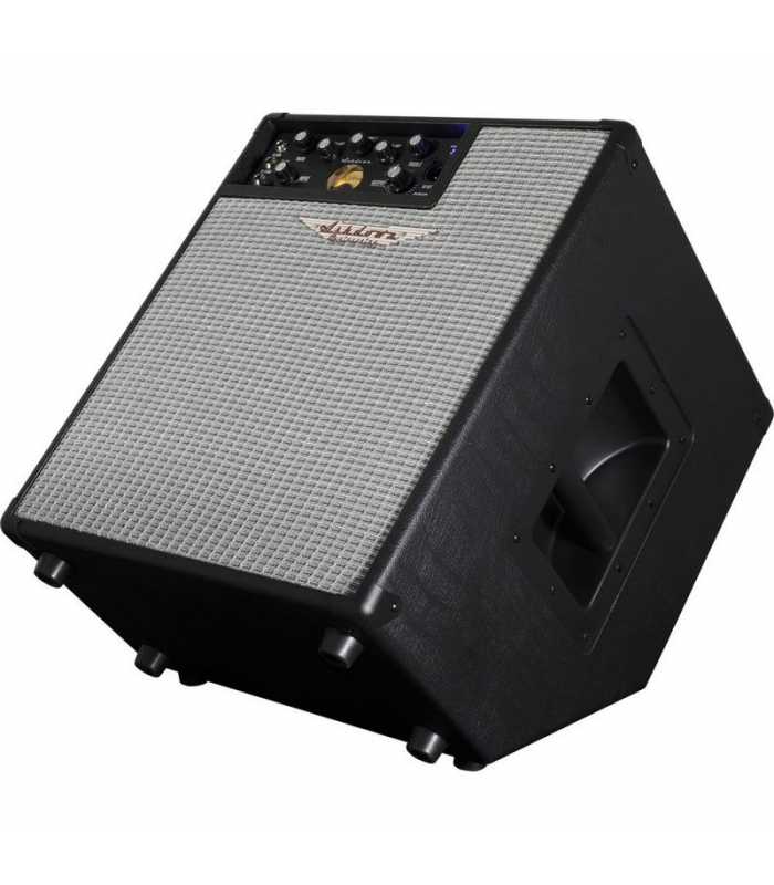 Amplificateur combo Ashdown Original Evo C112-300