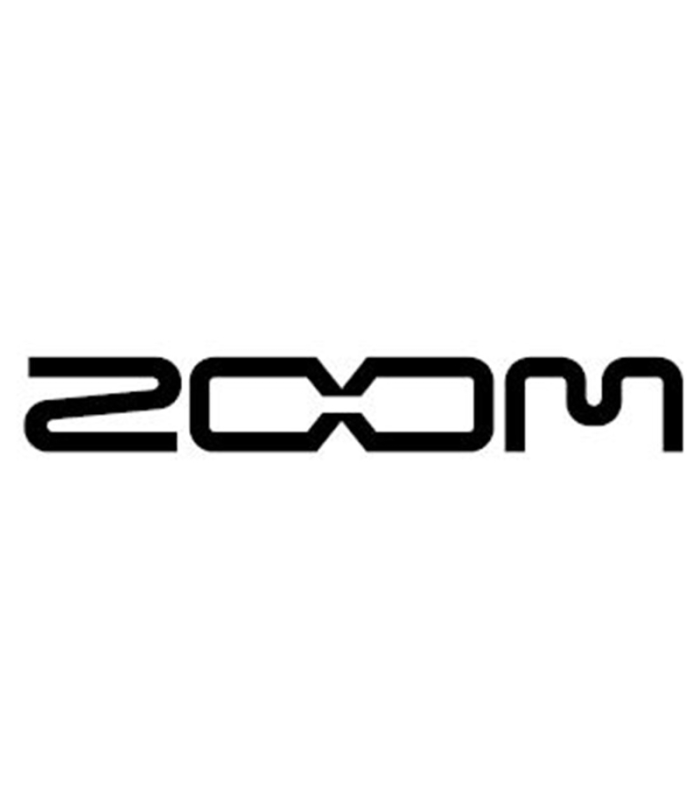 ZOOM H5