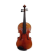 ALTO 38CM PASSION TRADITION MODÈLE STRAD