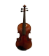ALTO 40.5CM PASSION TRADITION MODELE STRAD
