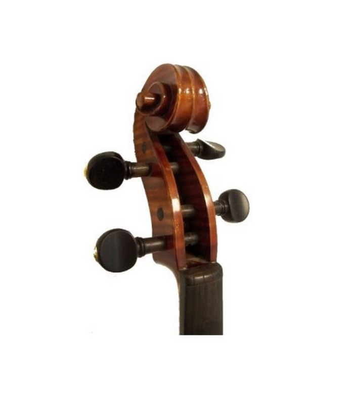 ALTO 40.5CM PASSION TRADITION MODELE STRAD
