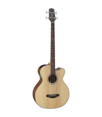 TAKAMINEGB30CE NAT