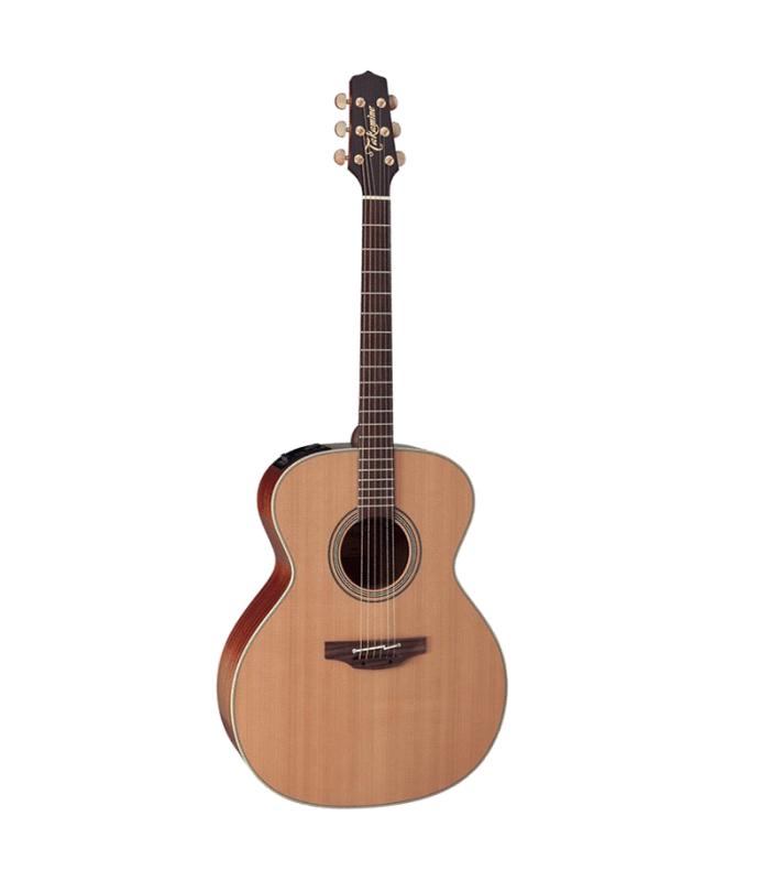 TAKAMINE EN20