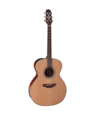 TAKAMINE EN20