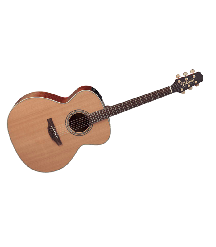 TAKAMINE EN20