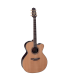 TAKAMINE DN25C