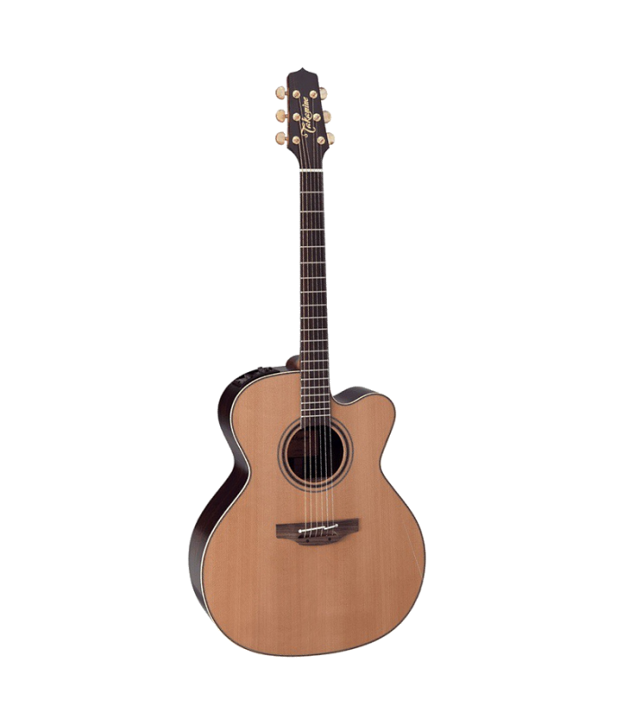 TAKAMINE DN25C