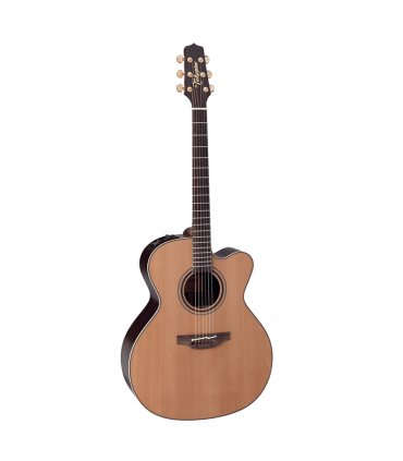 TAKAMINE DN25C