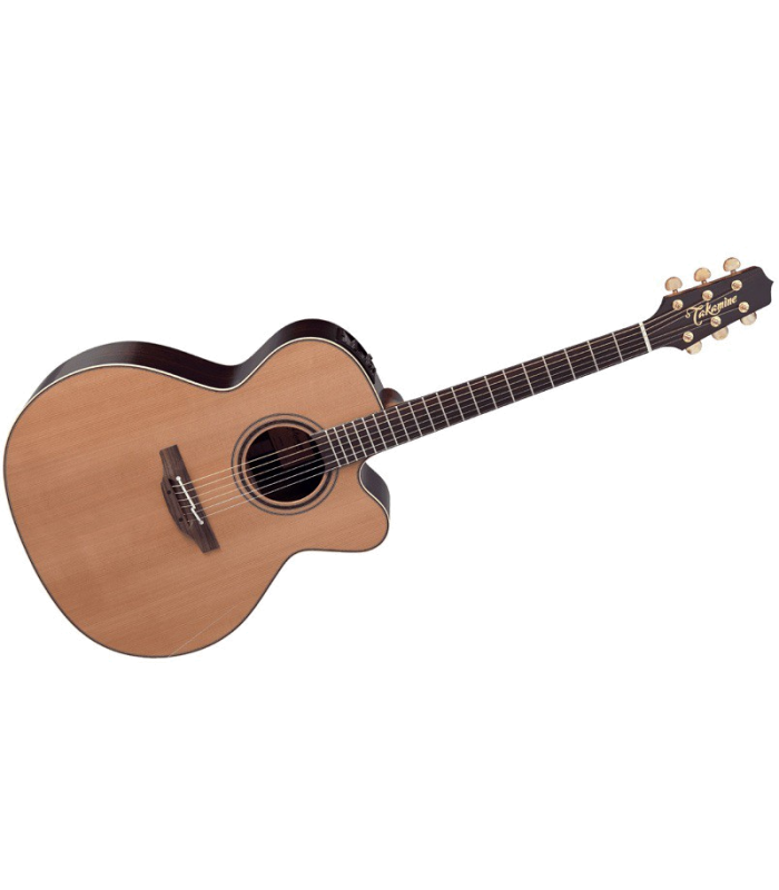 TAKAMINE DN25C