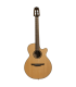 TAKAMINE P3FCN