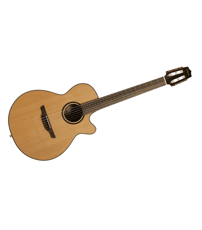TAKAMINE P3FCN